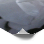 ゴージャスな白い牡丹の花のポスタープリント ポスター (角)