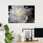 ゴージャスな白い牡丹の花のポスタープリント ポスター (ホームオフィス)