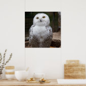 ゴージャスな白フクロウ ポスター (キッチン)
