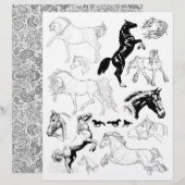 ゴージャスな白黒のラインアートスケッチの馬 (正面/裏面)