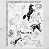 ゴージャスな白黒のラインアートスケッチの馬 (正面/裏面)