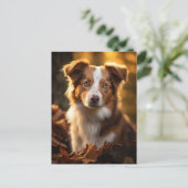 ゴージャスな秋のアウストラリアンシェパード ポストカード (スタンド正面)
