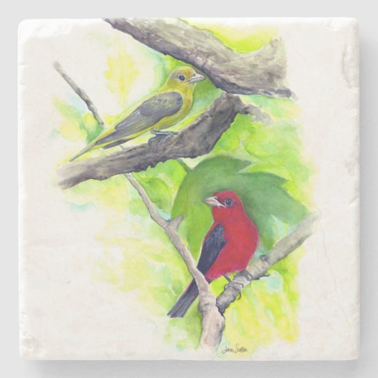 ゴージャスな緋色のタネージャ絵画の鳥 ストーンコースター (正面)