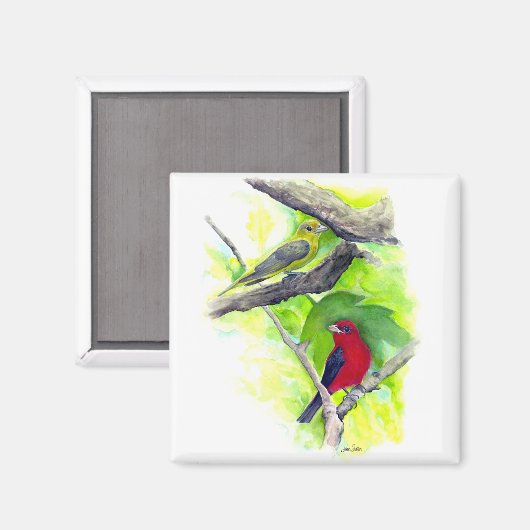 ゴージャスな緋色のタネージャ絵画ズ マグネット (正面/裏面)