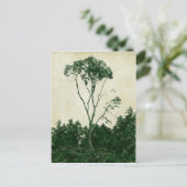 ゴージャスな緑の木のはがき ポストカード (スタンド正面)