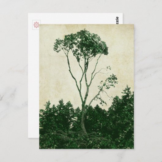 ゴージャスな緑の木のはがき ポストカード (正面/裏面)