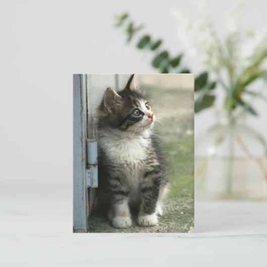 ゴージャスな虎猫の子猫デザイン – かわいい！ ポストカード (スタンド正面)