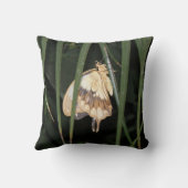 ゴージャスな蛾の枕 クッション (裏面)