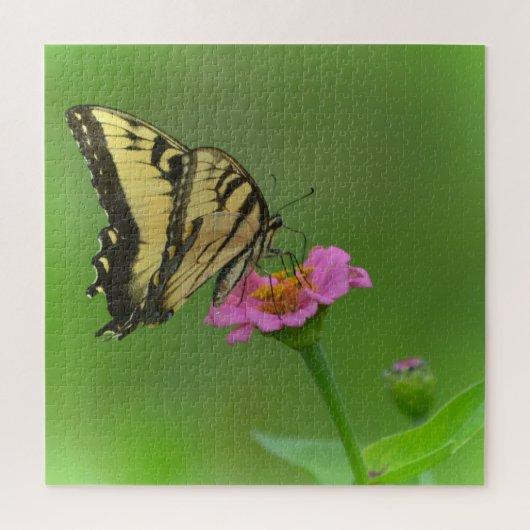 ゴージャスな蝶オン《植物》百日草 ジグソーパズル (縦)
