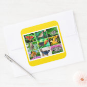 ゴージャスな蝶コラージュ， 9枚の写真 スクエアシール (封筒)