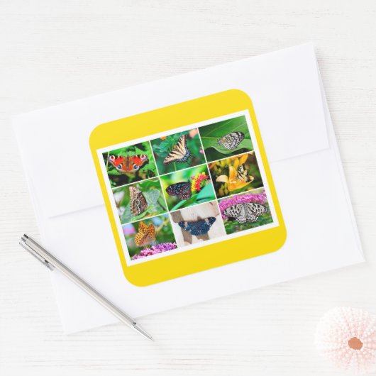 ゴージャスな蝶コラージュ， 9枚の写真 スクエアシール (封筒)