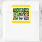 ゴージャスな蝶コラージュ， 9枚の写真 スクエアシール (バッグ)