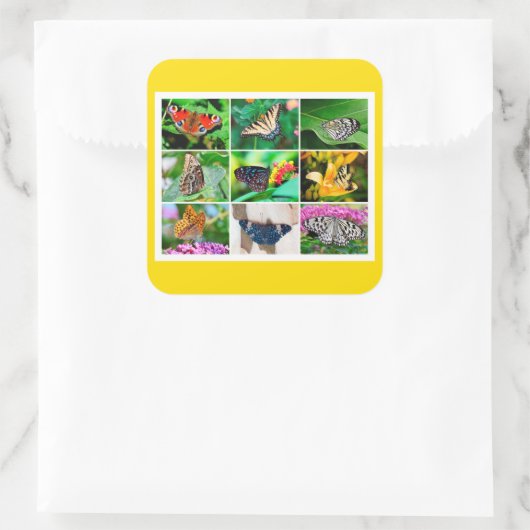 ゴージャスな蝶コラージュ, 9枚の写真 スクエアシール (バッグ)