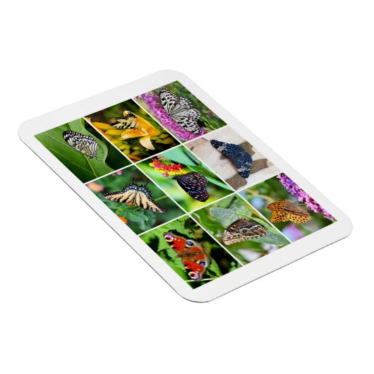 ゴージャスな蝶コラージュ, 9枚の写真 マグネット (右側)
