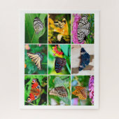 ゴージャスな蝶コラージュ、9枚の写真、10歳 ジグソーパズル (縦)