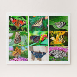 ゴージャスな蝶コラージュ、9枚の写真、10歳 ジグソーパズル