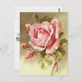 ゴージャスな質感ビクトリアンのピンクのバラ ポストカード (正面/裏面)