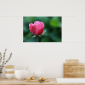 ゴージャスな赤/ピンクのローズポスター ポスター (キッチン)