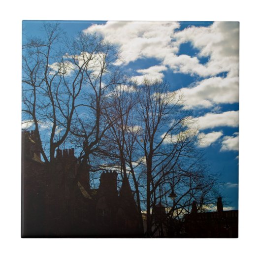 ゴージャスな都会の空 タイル (正面)