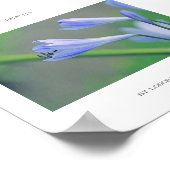 ゴージャスな青い花の美しいポスター ポスター (角)