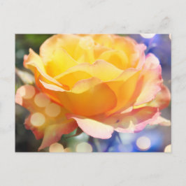 ゴージャスな黄色いバラの花。花の写真。 ポストカード