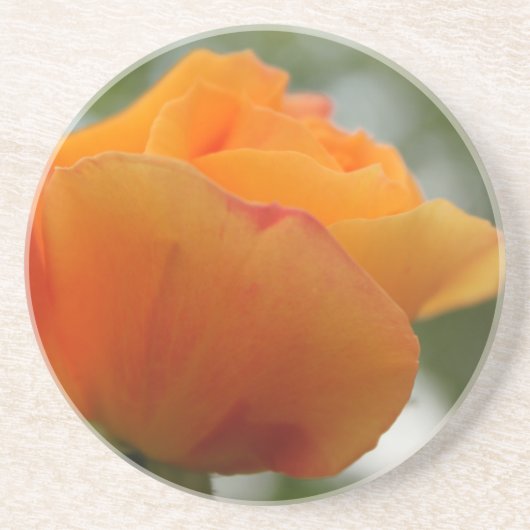 ゴージャスな黄色のバラの花写真。 コースター (正面)