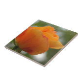 ゴージャスな黄色のバラの花写真。 タイル (側面)