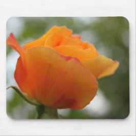 ゴージャスな黄色のバラの花写真。 マウスパッド