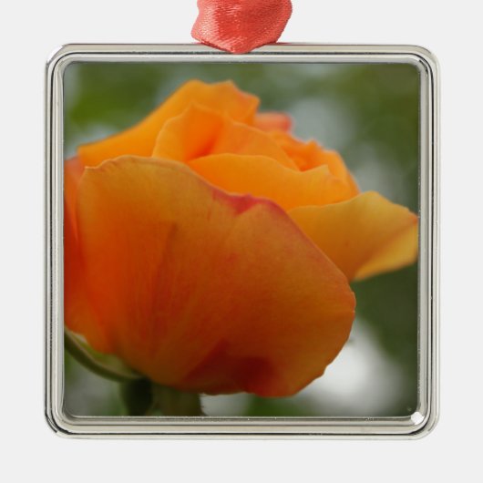 ゴージャスな黄色のバラの花写真。 メタルオーナメント (正面)