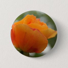 ゴージャスな黄色のバラの花写真。 缶バッジ