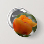 ゴージャスな黄色のバラの花写真。 缶バッジ (正面&裏面)