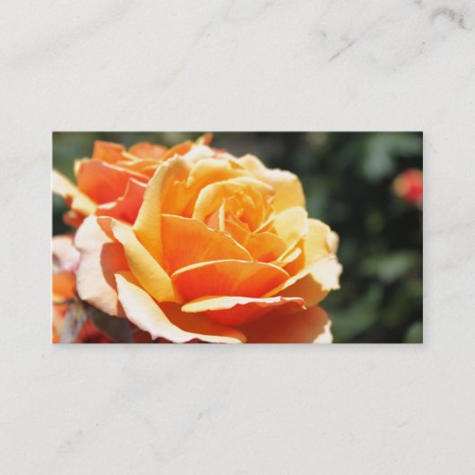 ゴージャスな黄金色のバラの花プロフェッショナル 名刺 (正面)