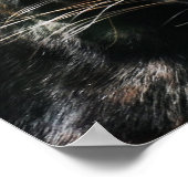 ゴージャスな黒いヒョウ ポスター (角)