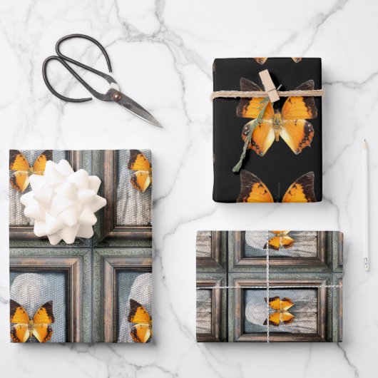 ゴージャスな黒い縁どチャラックス蝶 ラッピングペーパーシート (正面)