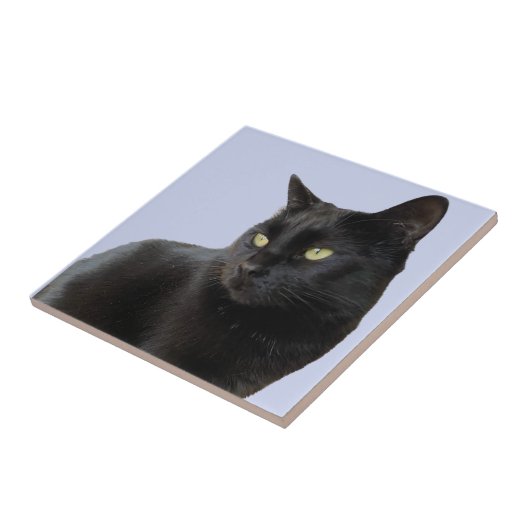 ゴージャスな黒猫 タイル (側面)