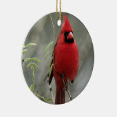ゴージャスな（鳥）ショウジョウコウカンチョウ写真 – オーナメント (右)