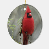 ゴージャスな（鳥）ショウジョウコウカンチョウ写真 – オーナメント (左)