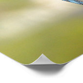 ゴージャスなBlue Jayのポスターまたはプリント ポスター (角)