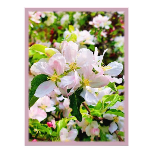 ゴージャスなMalus asiatica写真 フォトプリント (正面)