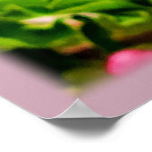 ゴージャスなMalus asiatica写真 ポスター (角)