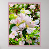 ゴージャスなMalus asiatica写真 ポスター (正面)