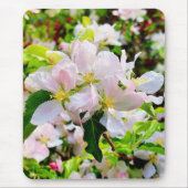 ゴージャスなMalus asiatica写真 マウスパッド (正面)