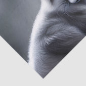 ゴージャスアルティックキツネ 薄葉紙 (詳細)