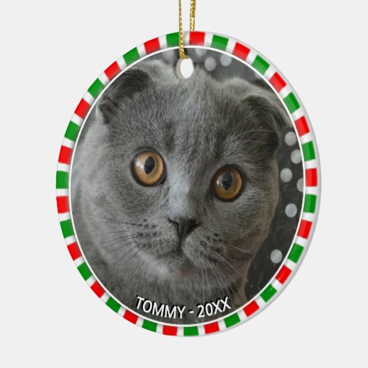 ゴージャスカスタムなグレーの猫の写真と緑の赤いフレーム セラミックオーナメント (左)