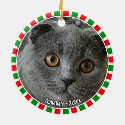 ゴージャスカスタムなグレーの猫の写真と緑の赤いフレーム セラミックオーナメント (裏面)