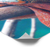 ゴージャスカラフルなイグアナのポスター ポスター (角)