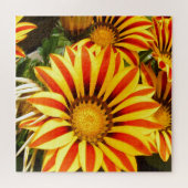 ゴージャスガザニア ジグソーパズル (横)