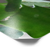 ゴージャスクリスマスサボテン開花 フォトプリント            (角)