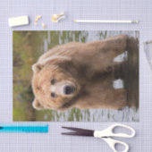 ゴージャスコディアックブラウンベア 薄葉紙 (クラフト)