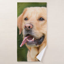 ゴージャスゴールデンラブラドール